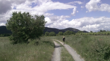 BROUZET-LES-QUISSAC-gard