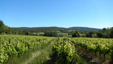 ST-JEAN-DE-CEYRARGUES - MAS BOUSQUET-gard