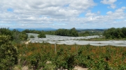 ST-JEAN-DE-CEYRARGUES - MAS BOUSQUET-gard