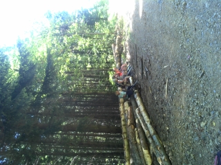 ST ROMAN DE CODIERES - CRETE LA FAGE-gard