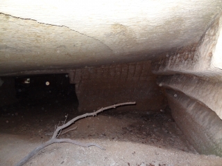 FALAISES DE PUJAUT - VARIANTE-gard