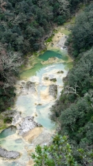 LES CONCLUSES A PARTIR DE LA LEQUE-gard