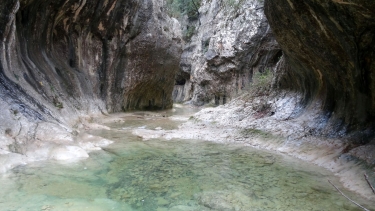 LES CONCLUSES A PARTIR DE LA LEQUE-gard