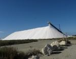 AIGUES-MORTES - LES SALINS-gard