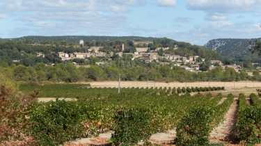 DE SERVIES AU PONT DE CAILLAN-gard