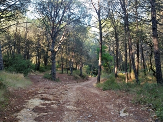 VAUVERT - LA GARRIGUE-gard