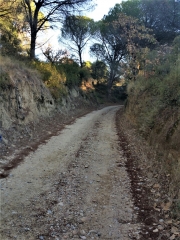 VAUVERT - LA GARRIGUE-gard