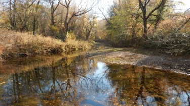 SAINT-JULIEN-DE-CASSAGNAS - AUZON-gard