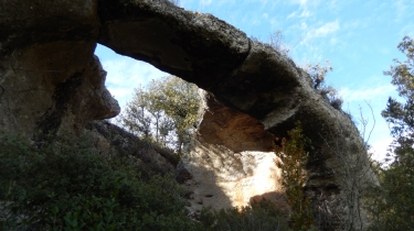 CASTILLON-DU-GARD - L ARCHE NATURELLE-gard
