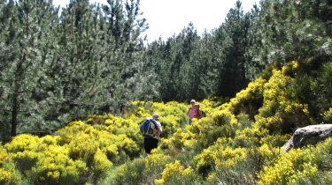 AUMESSAS - LAC DES PISES-gard