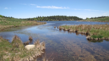 AUMESSAS - LAC DES PISES-gard