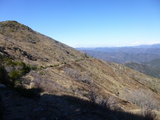 ND-DE-LA-ROUVIERE - CHEMIN DE LA TRANSHUMANCE-gard