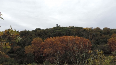 UZES ET LA FONTAINE D EURE-gard