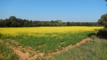 DE MOUSSAC A VALENCE-gard