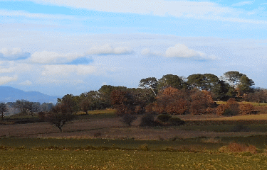 SAINT-HILAIRE-DE-BRETHMAS-gard