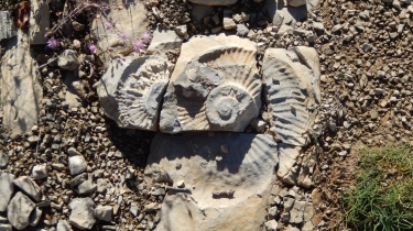 DE VALLERARGUES A LA VALUS EN BOUCLE-gard