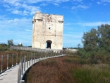 AIGUES-MORTES - TOUR CARBONNIERE-gard