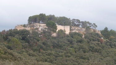 COMPS - ABBAYE DE SAINT ROMAN-gard