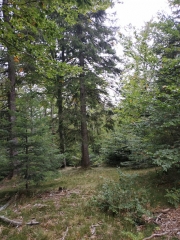 COL DE MONTALS - MONTAGNE D AULAS-gard