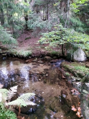 COL DE MONTALS - PONT DES VAQUIERS - LE CAMPING-gard