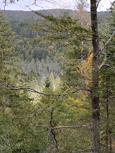 COL DE MONTALS - PONT DES VAQUIERS - LE CAMPING-gard