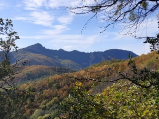 PORCHE DES CAMISARDS - LE BROUSSIER - CHATEAU SAINT JULIEN-gard