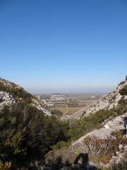 SAINT-LAURENT-DES-ARBRES-gard