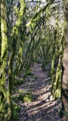 CIRCUIT DES AVENS AU DEPART DE THARAUX-gard