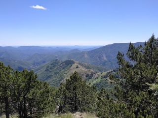 MONT AIGOUAL - COL DE L ESTRADE - CAP DE BRION-gard
