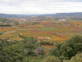 HORS SENTIER ENTRE GAUJAC ET CONNAUX-gard