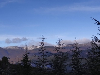 ROQUEDUR LE BAS - ROQUEDUR LE HAUT-gard