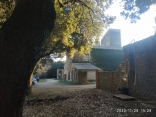 CAVILLARGUES-gard