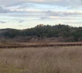 ST LAURENT-MAS CARRIERE-gard