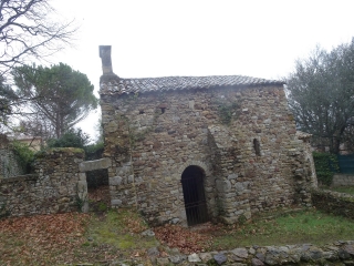 LE PIN - L OPPIDUM DE GAUJAC - VALLON DE LA VEYRE-gard