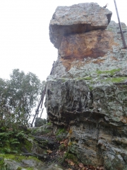 LE PIN - L OPPIDUM DE GAUJAC - VALLON DE LA VEYRE-gard