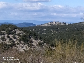 BOUQUET - SUZON-gard