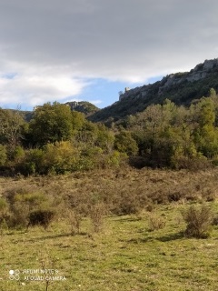 BOUQUET - SUZON-gard