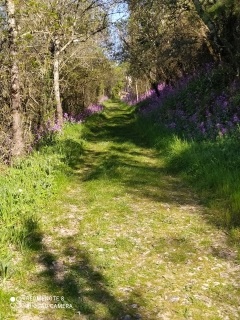 LA BASTIDE DE GOUDARGUES - GOUDARGUES-gard