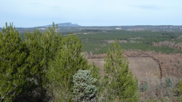 SERVIERS - AUBUSSARGUES-gard