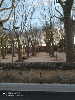 ST-LAURENT-LA-VERNEDE - LA BRUGUIERE-gard