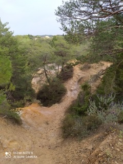 ST-LAURENT-LA-VERNEDE - LA BRUGUIERE-gard