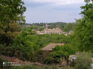 BOIS DE VERFEUIL - ST MARCEL DE CAREIRET-gard