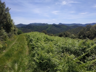 AU DESSUS DE SAINT-ANDRE-DE-MAJENCOULES-gard