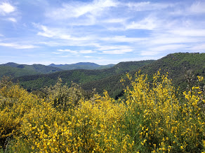 AU DESSUS DE SAINT-ANDRE-DE-MAJENCOULES-gard