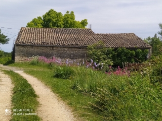 BERNAS - ISSIRAC-gard