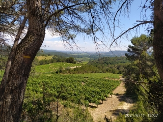 SAINT-GERVAIS - VERS SAINT NAZAIRE-gard