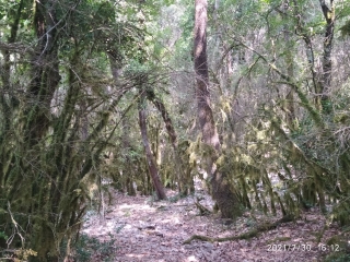 GOUDARGUES ENTRE EAUX ET CHENES-gard