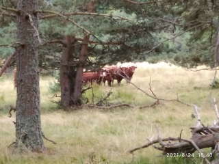 MARIGNAC - BRUEYS-gard