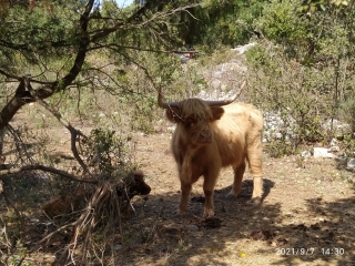 LE GARN - ORGNAC-gard