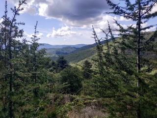 LA COMBETTE - ROUAS - COL DE PEYREFICHE-gard